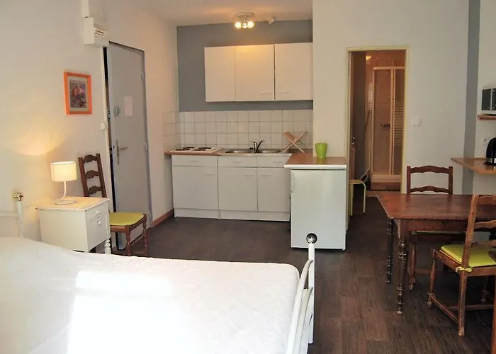 Du Rhone Et Des Thermes Apartment *